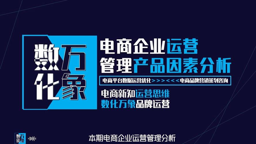 电商企业运营管理中的产品因素分析 从选品到生命周期的全链路管理